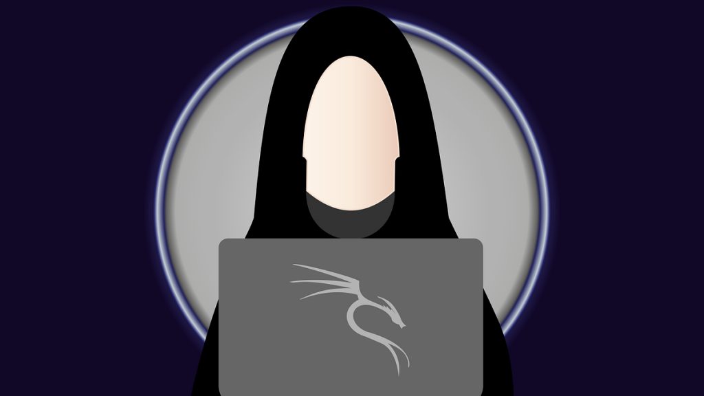 Kali Linux nedir