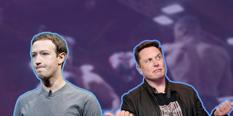 Musk'ın Babasından Kafes Dövüşü Açıklaması