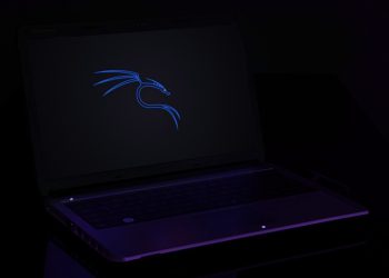 Kali Linux Türkçe Yapma