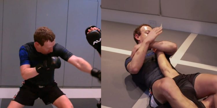 Zuckerberg ve Musk'ın Kafes Dövüşüne Hazır Olun