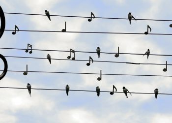 Müzik Şirketleri Twitter'a 250 Milyon Dolarlık Dava Açtı!