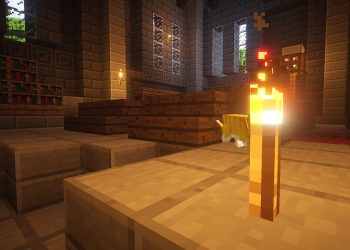 Minecraft Kedi Neyle Beslenir?