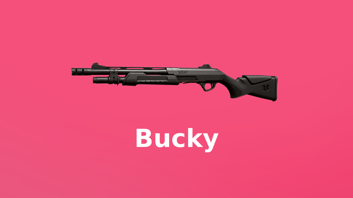 Valorant Bucky