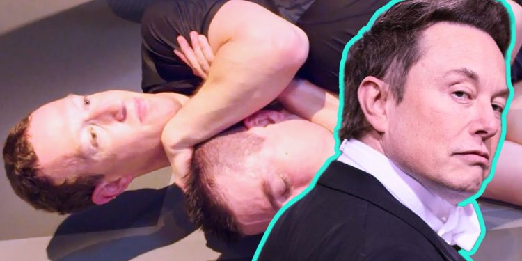 Zuckerberg'den Musk ile Dövüşü Hakkında Yeni Açıklama