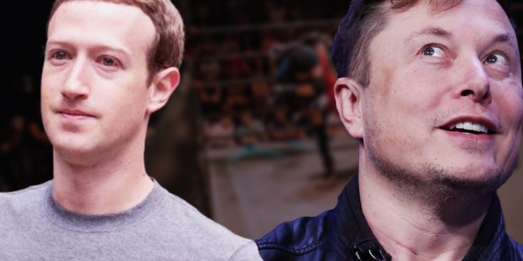 Elon Musk: Zuck vs. Musk X'te Yayımlanacak