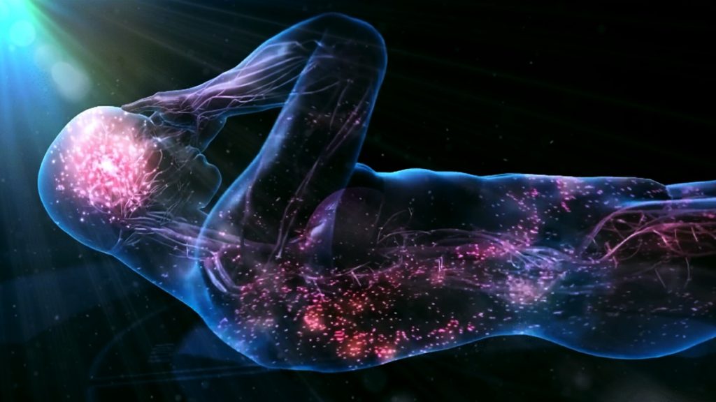 Neuralink İnsan Deneylerine Başlıyor