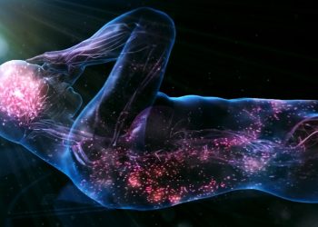 Neuralink İnsan Deneylerine Başlıyor