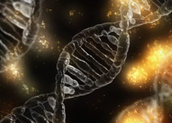 DNA Testi ile Bilinen 23andMe'de Veri Sızıntısı Yaşandı