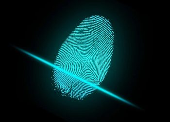 ID Ne Demek? Nerelerde Kullanılır?