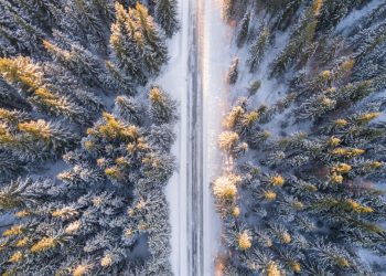 Mobil Fotoğrafçılıkta Perspektif Türleri