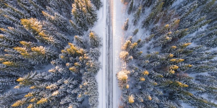 Mobil Fotoğrafçılıkta Perspektif Türleri