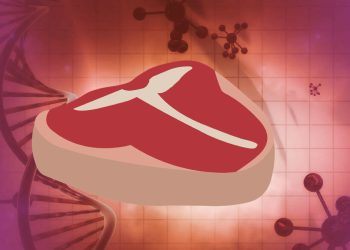 Yapay Et Nedir? Nasıl Üretilir?