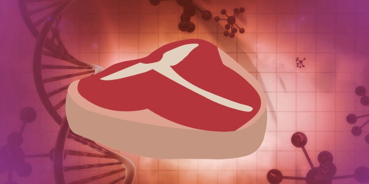 Yapay Et Nedir? Nasıl Üretilir?