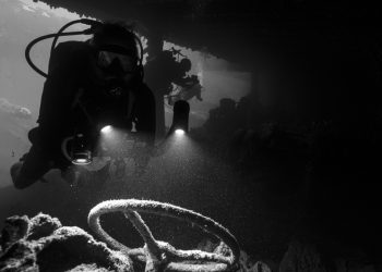 İlk Renkli Su Altı Fotoğrafı Ne Zaman Çekildi?