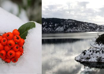 Mevsimlere Göre Manzara Fotoğrafları