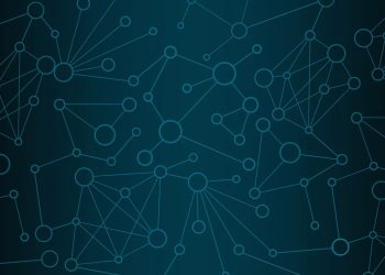 Whitelist Nedir? Ne İşe Yarar?