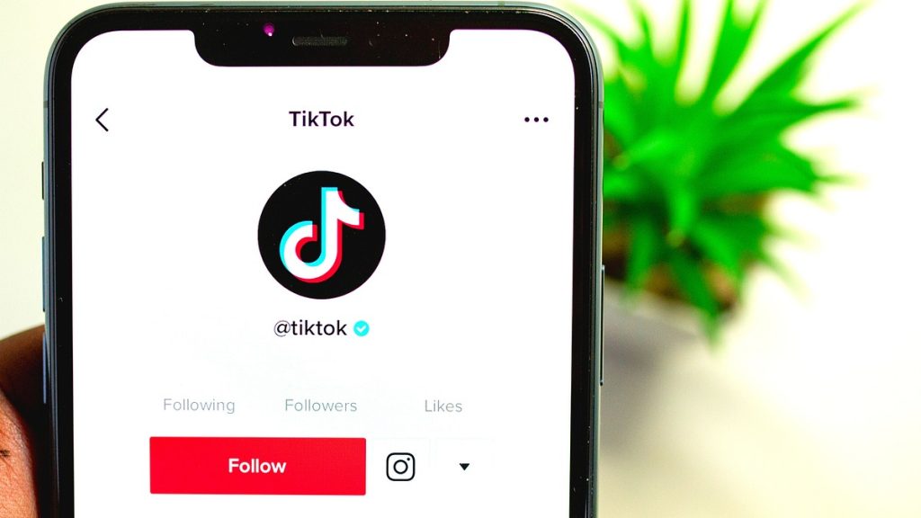 TikTok İsim Önerileri (İngilizce, Kız, Erkek, Havalı)