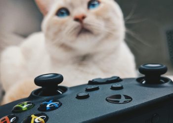 Xbox İndirme Hızı Arttırma Nasıl Yapılır?