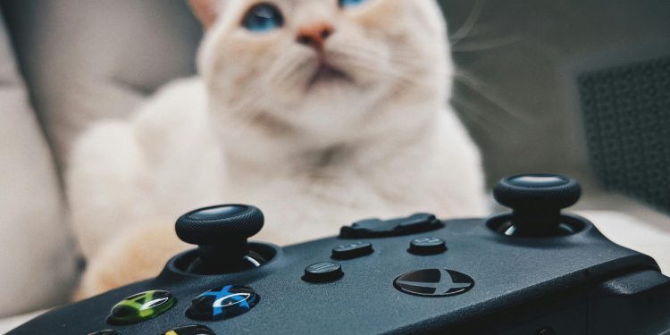 Xbox İndirme Hızı Arttırma Nasıl Yapılır?