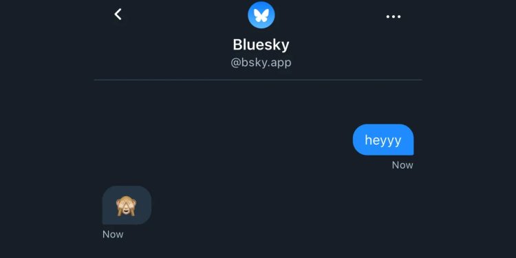 Bluesky DM Özelliğine Kavuştu!