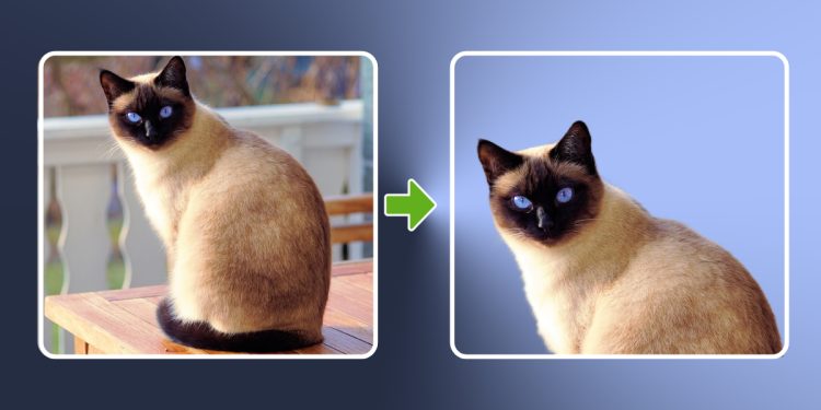 Paint Arka Plan Silme ve Değiştirme