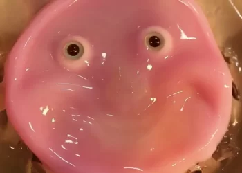 Japon Bilim İnsanlarından Büyük Başarı: İnsan Derisinden Yapılan Gülümseyen Robot