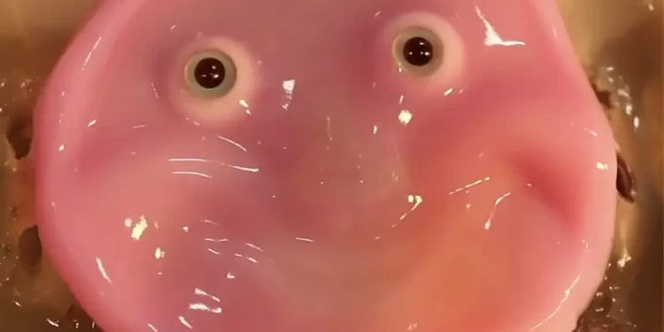 Japon Bilim İnsanlarından Büyük Başarı: İnsan Derisinden Yapılan Gülümseyen Robot