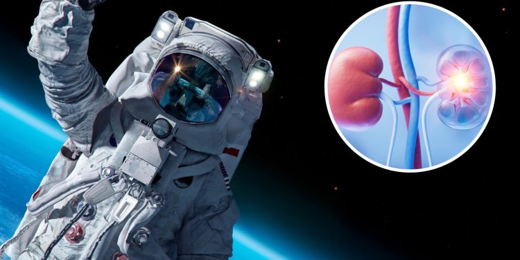 Mars’a Gidişler İptal: Astronotların Böbrekleri Küçüldü!