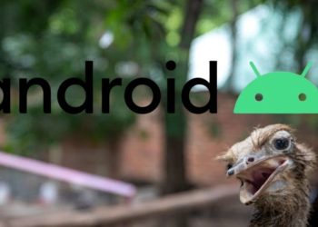 Tek Bir Ayarı Devre Dışı Bıraktım ve Android Telefonum Hızlandı