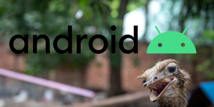 Tek Bir Ayarı Devre Dışı Bıraktım ve Android Telefonum Hızlandı