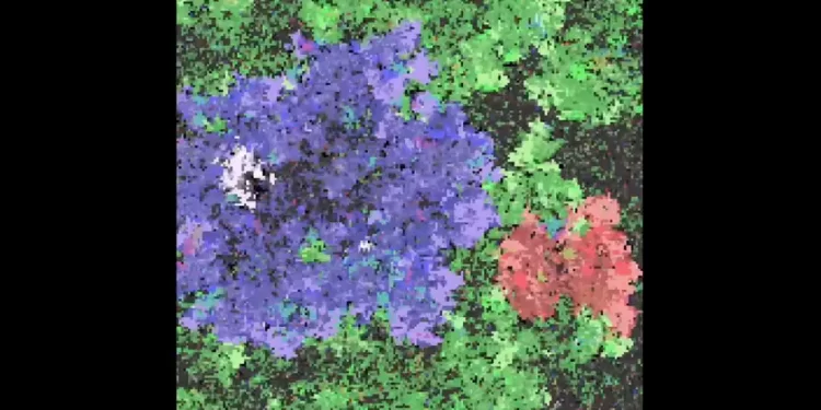 Sanal Yaşam Formu Doğdu: Google Yaşamın Ortaya Çıkışını Simüle Etti