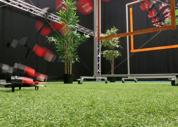 Karınca Zekası ile Çalışan Drone Rekor Kırdı: Ev Yolunu Bulma Başarısı