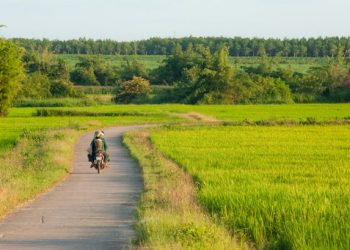 Akıllı Telefonunuzla Daha İyi Fotoğraflar Çekmenin 5 Püf Noktası