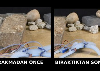 Kertenkele Gibi Uzvunu Bırakabilen Robot Geliştirildi