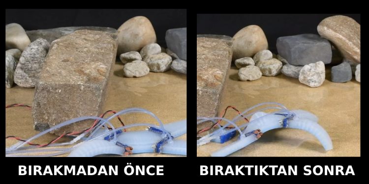 Kertenkele Gibi Uzvunu Bırakabilen Robot Geliştirildi
