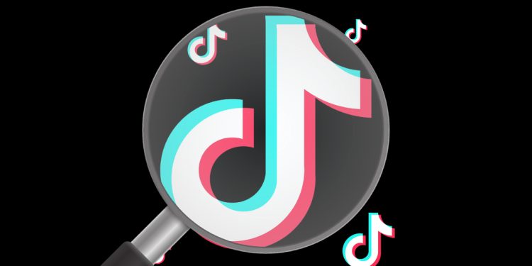 TikTok Fake Hesap Bulma Yöntemleri