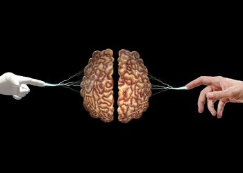 OpenAI Artık Birçok Yayın Kuruluşunun İçeriğini Kullanacak