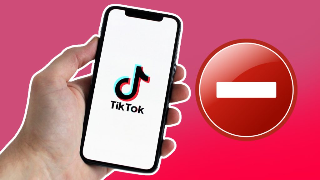 TikTok Hesap Silme ve Devre Dışı Bırakma