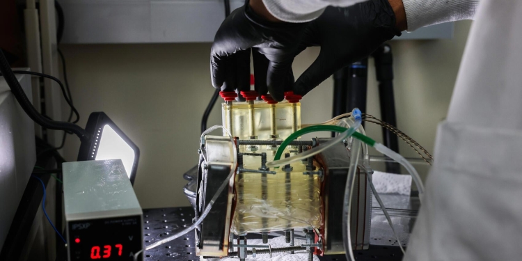 Yeni Teknolojik Ürün Çöl Havasını Su Yapıyor