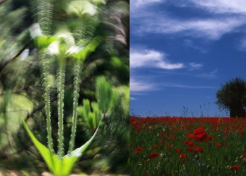 Manzara Fotoğrafçılığı için Farklı Yorumlar