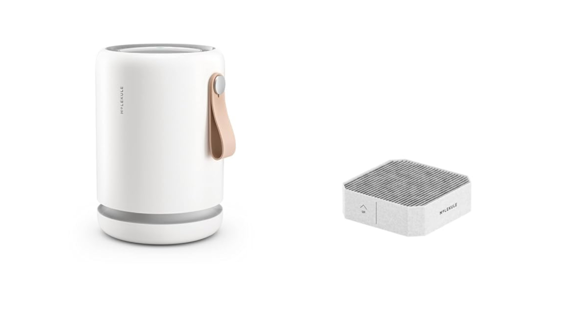 Molekule Air Mini+ Purifier