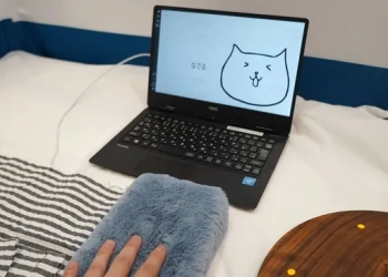 Peluş Kediden Ev Bitkisine: Her Şey Artık Dokunmatik