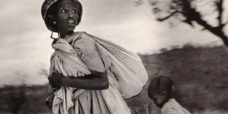 Bellekte Kalanlar: Hafıza Avcısı