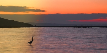 Etkileyici Bir Gün Doğumu Fotoğrafı İçin İpuçları