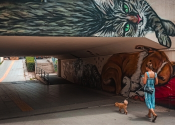 Sokak Fotoğrafçılığı için Tavsiyeler