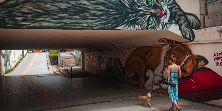 Sokak Fotoğrafçılığı için Tavsiyeler