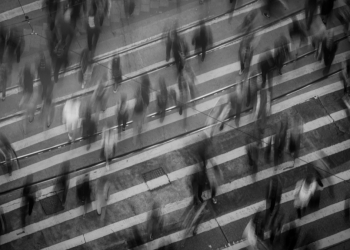 Türk Dil Kurumu, 2024 Yılının Kelimesini Açıkladı