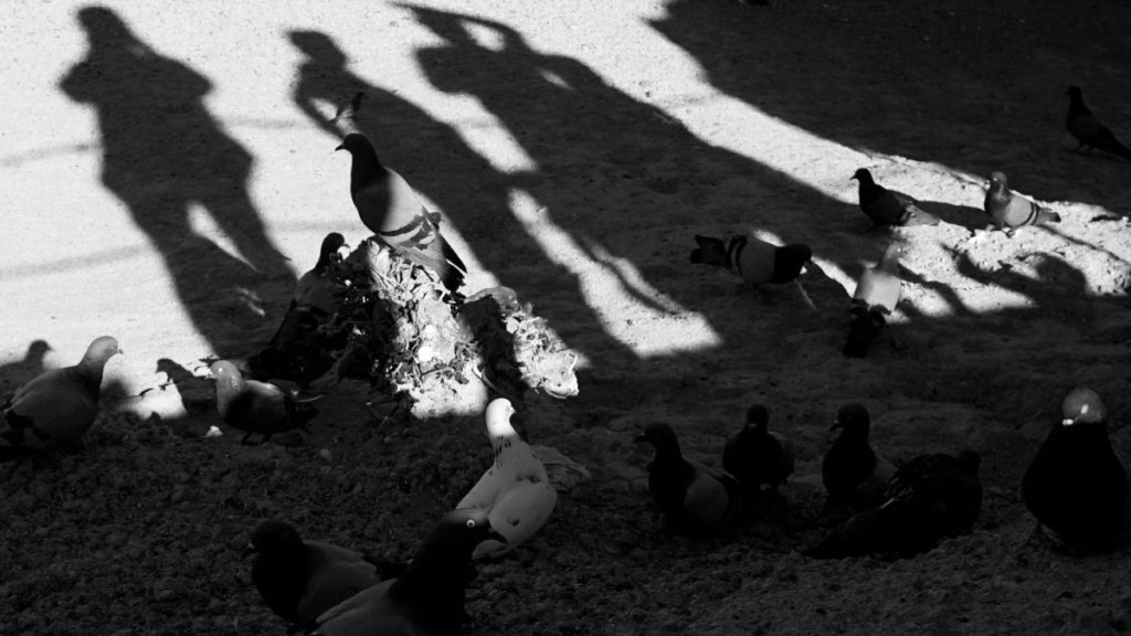 fotoğrafta gölgelerin gücü