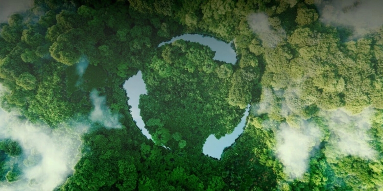 Sürdürülebilirlik Nedir? İşletmeler İçin Sürdürülebilirlik Hedefleri