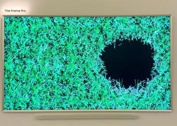 Samsung Frame Pro TV